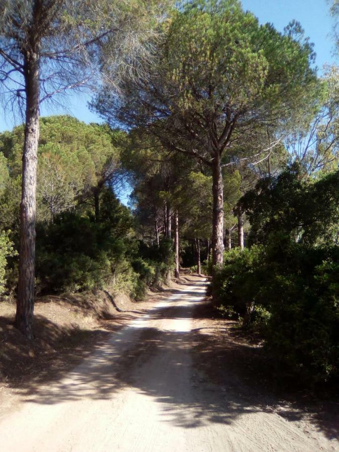 Appartamento Vacanze Sardegna Сініскола Екстер'єр фото
